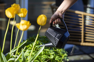 Capi Europe Watering CAN Doppio Groove - Acacia Garden Center