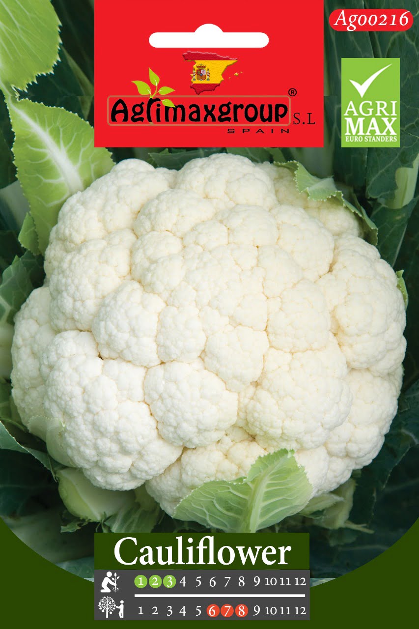 Cauliflower - Acacia Garden Center