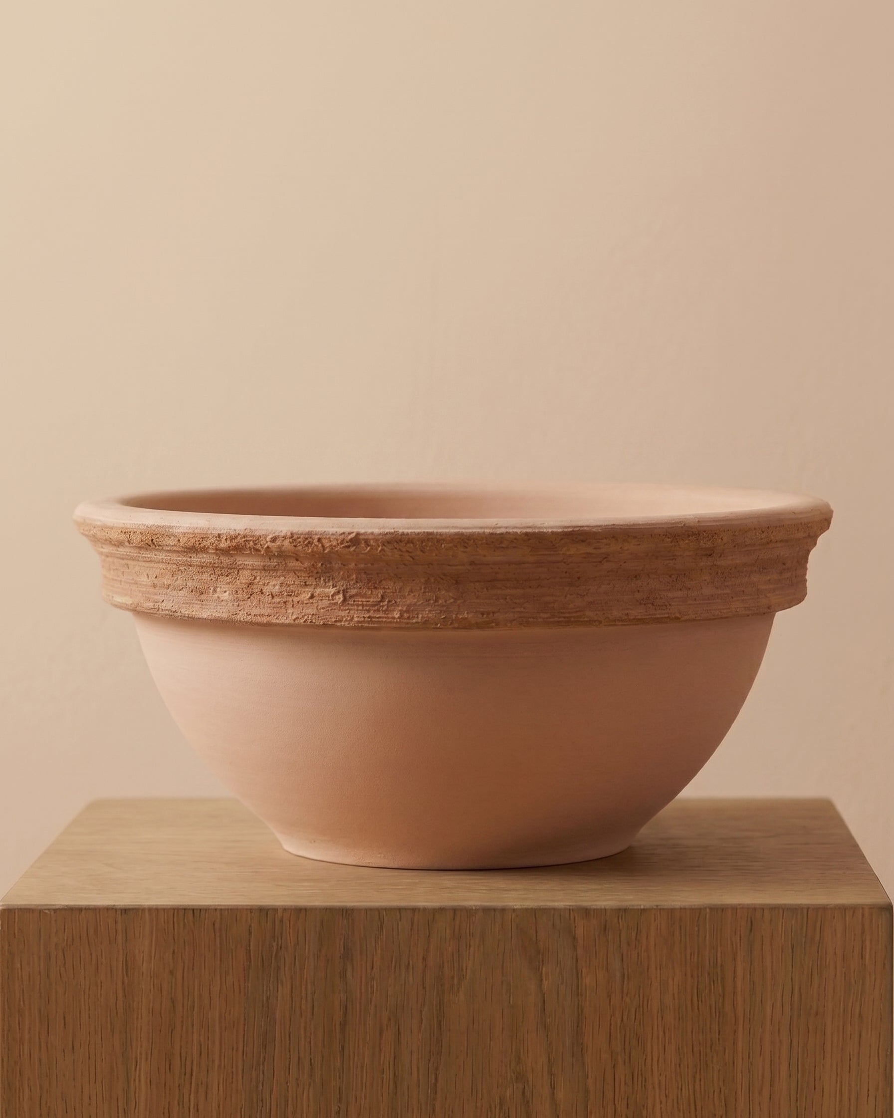 Ciotola Ciclamino Graffiata Scratched Cyclamen Bowl - Acacia Garden Center