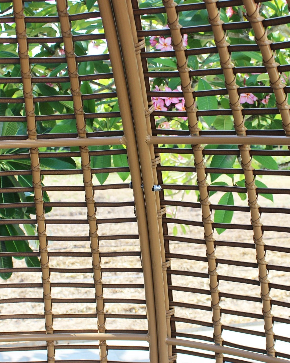 Cocoon Daybed Lounger | Enclosed Oval Design, 2–3 Seater - Acacia Garden Center