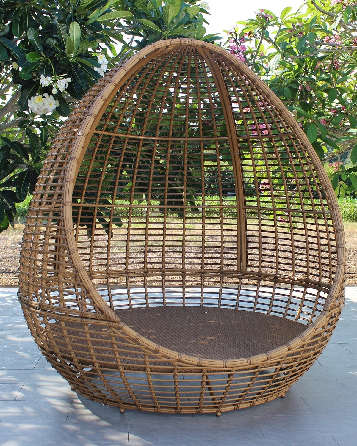 Cocoon Daybed Lounger | Enclosed Oval Design, 2–3 Seater - Acacia Garden Center