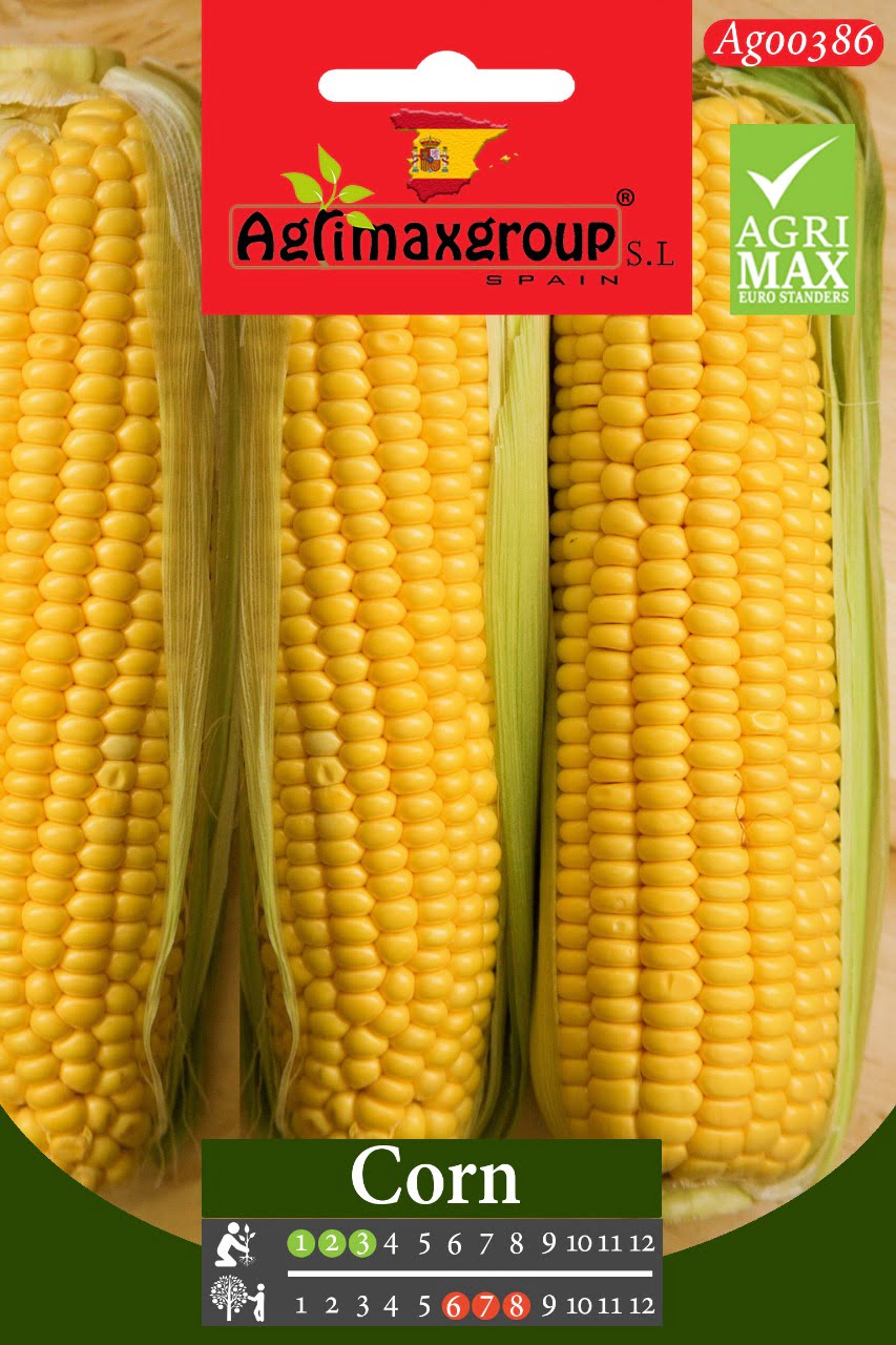 Corn - Acacia Garden Center