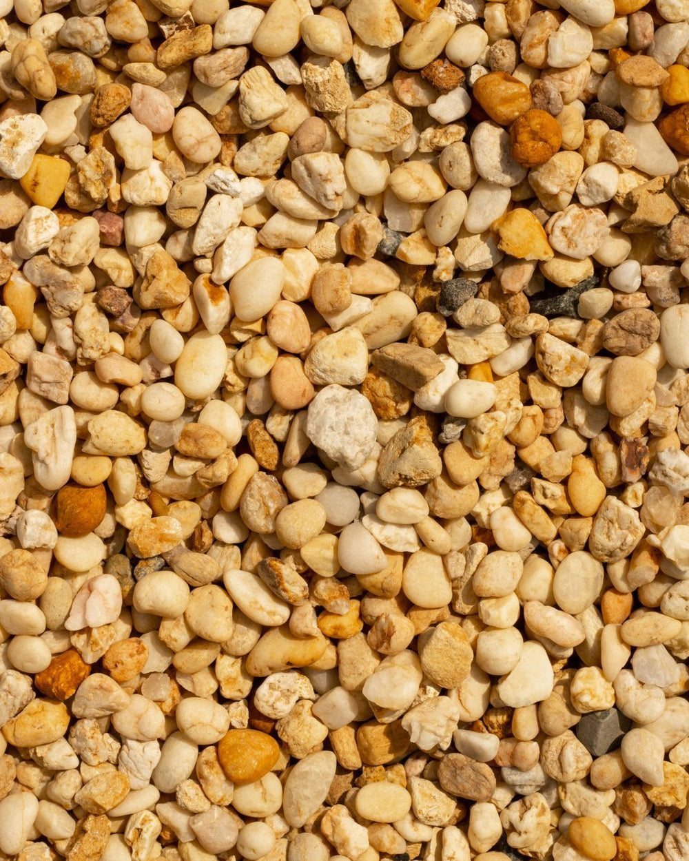 Decorative Stone Pebbles | Multi - Colour, 9–70 mm - Acacia Garden Center