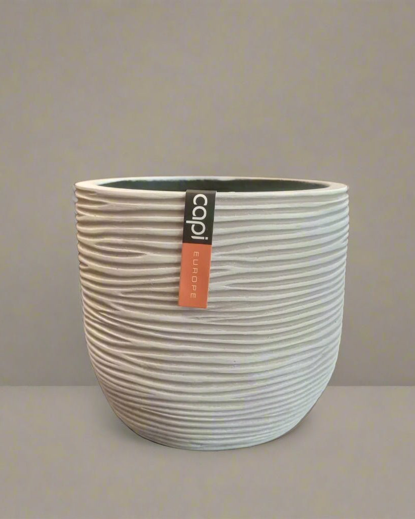 Egg Planter BOFI 132 - Acacia Garden Center