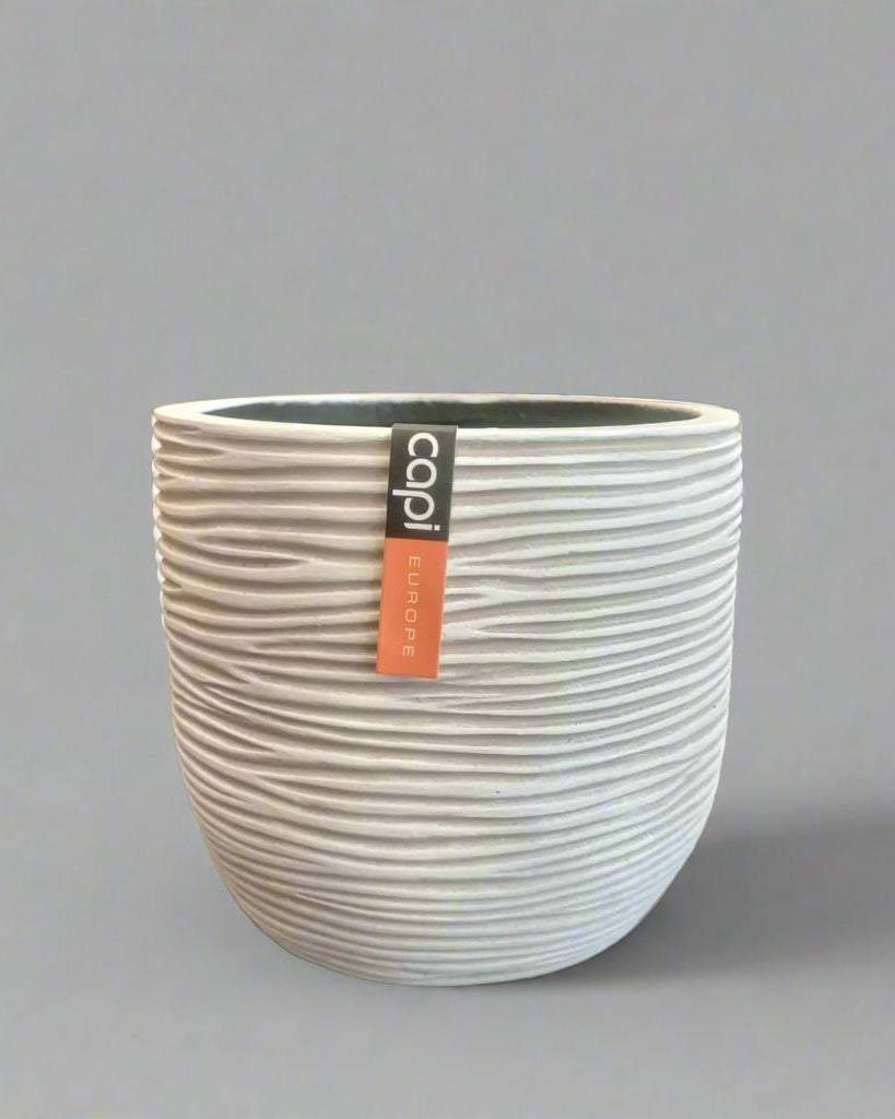 Egg Planter BOFI 132 - Acacia Garden Center