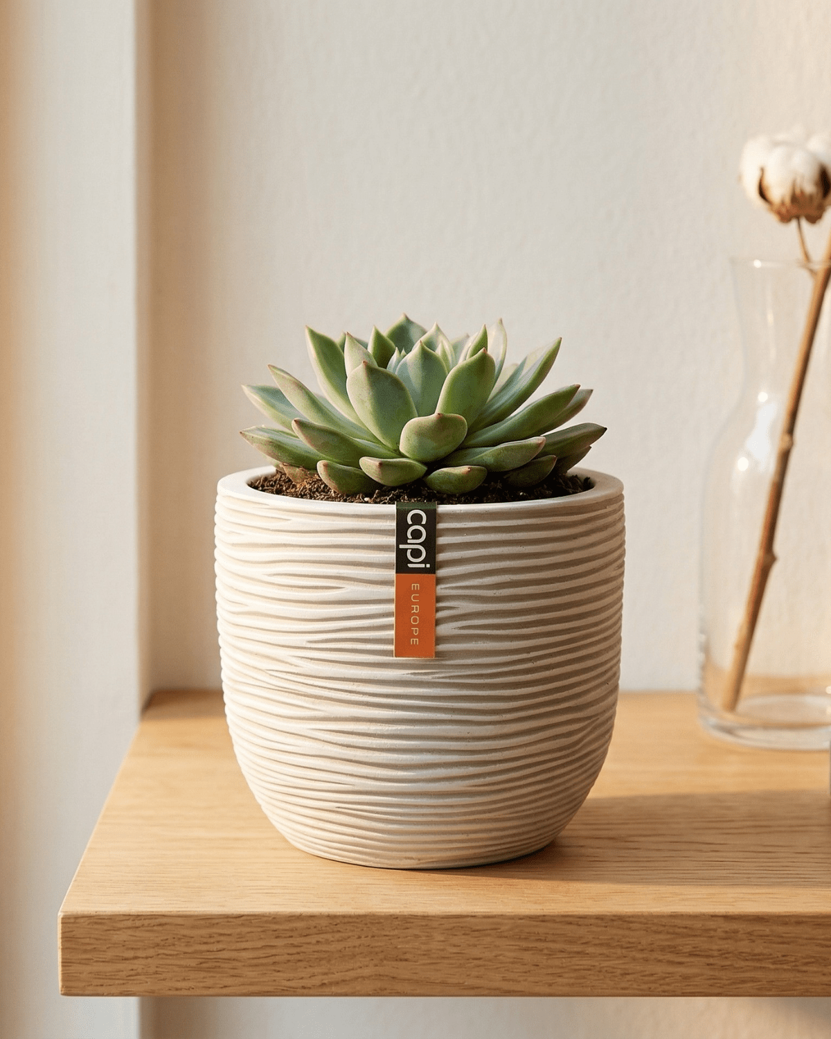 Egg Planter BOFI 132 - Acacia Garden Center