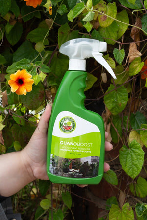 Fertilizer Guano Boost | Pure Organic (Indoor & Potted Plants) - Acacia Garden Center