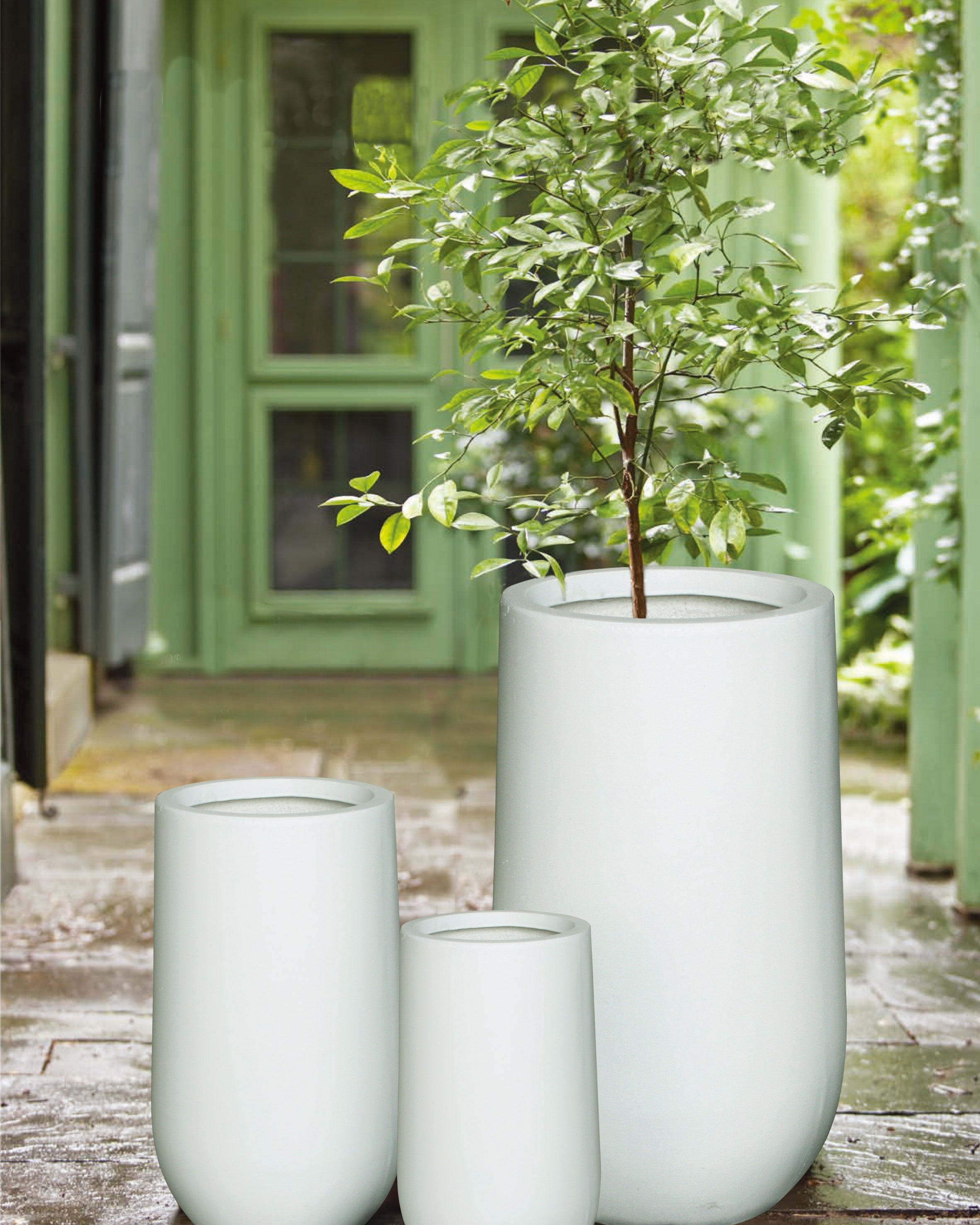 Fiber Clay Pot DW160181 - Acacia Garden Center