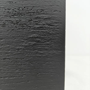 Ficus Elastica (Rubber plant) | 70 - 80 cm - Acacia Garden Center