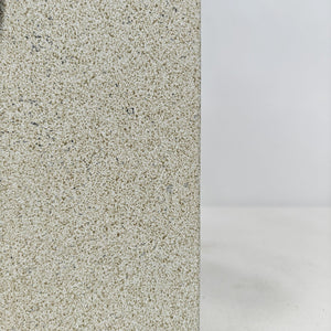 Ficus Elastica (Rubber plant) | 70 - 80 cm - Acacia Garden Center