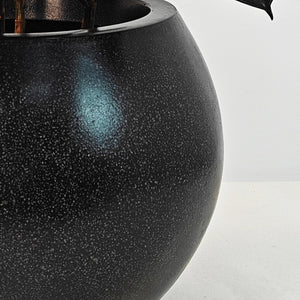 Ficus Elastica (Rubber plant) | 70 - 80 cm - Acacia Garden Center