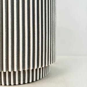 Ficus Elastica (Rubber plant) | 70 - 80 cm - Acacia Garden Center