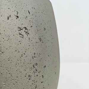 Ficus Elastica (Rubber plant) | 70 - 80 cm - Acacia Garden Center