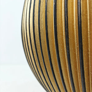 Ficus Elastica (Rubber plant) | 70 - 80 cm - Acacia Garden Center