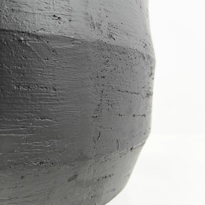 Ficus Elastica (Rubber plant) | 70 - 80 cm - Acacia Garden Center