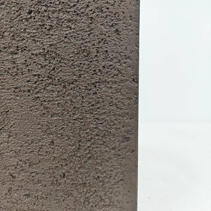 Ficus Elastica (Rubber plant) | 70 - 80 cm - Acacia Garden Center