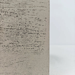 Ficus Elastica (Rubber plant) | 70 - 80 cm - Acacia Garden Center