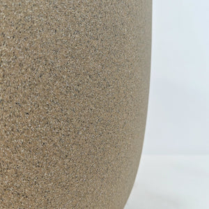 Ficus Elastica (Rubber plant) | 70 - 80 cm - Acacia Garden Center