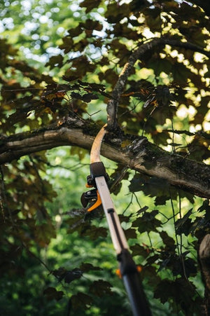 Fiskars Branch Saw - (1023633) - Acacia Garden Center