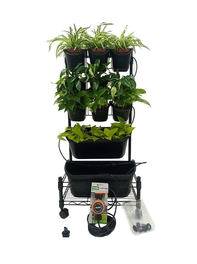 Greenwall Plant Box with Wheels - Acacia Garden Center
