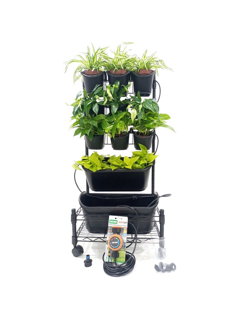 Greenwall Plant Box with Wheels - Acacia Garden Center