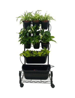 Greenwall Plant Box with Wheels - Acacia Garden Center