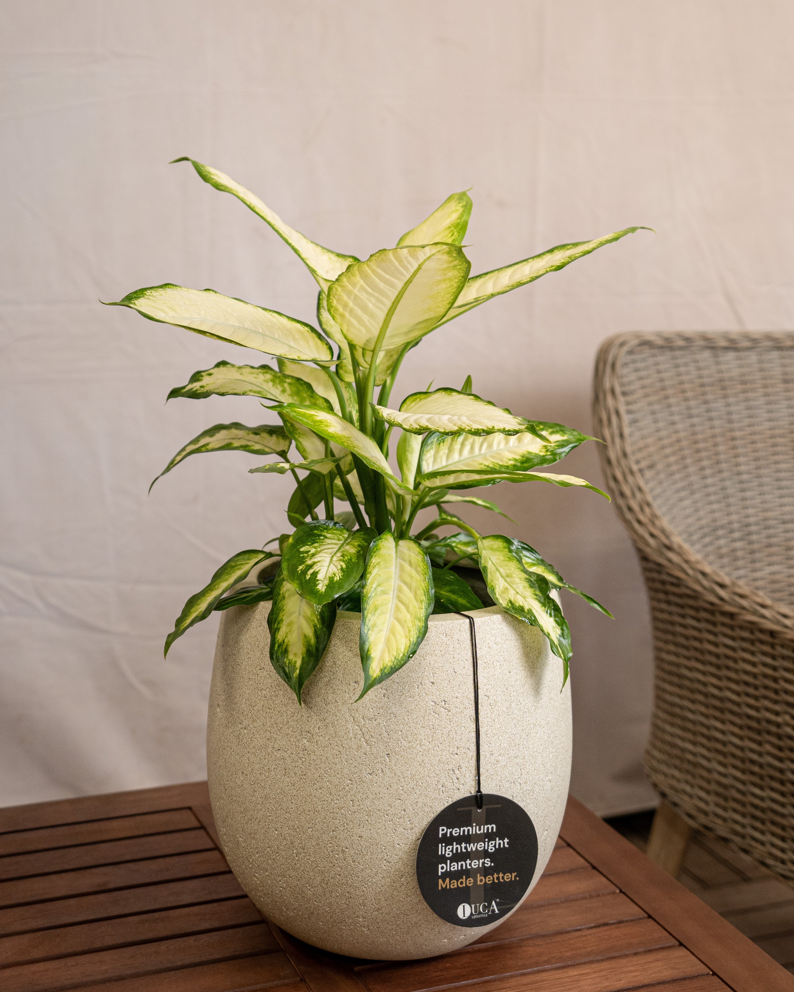 Grigio Balloon Pot | Spherical Planter - Acacia Garden Center