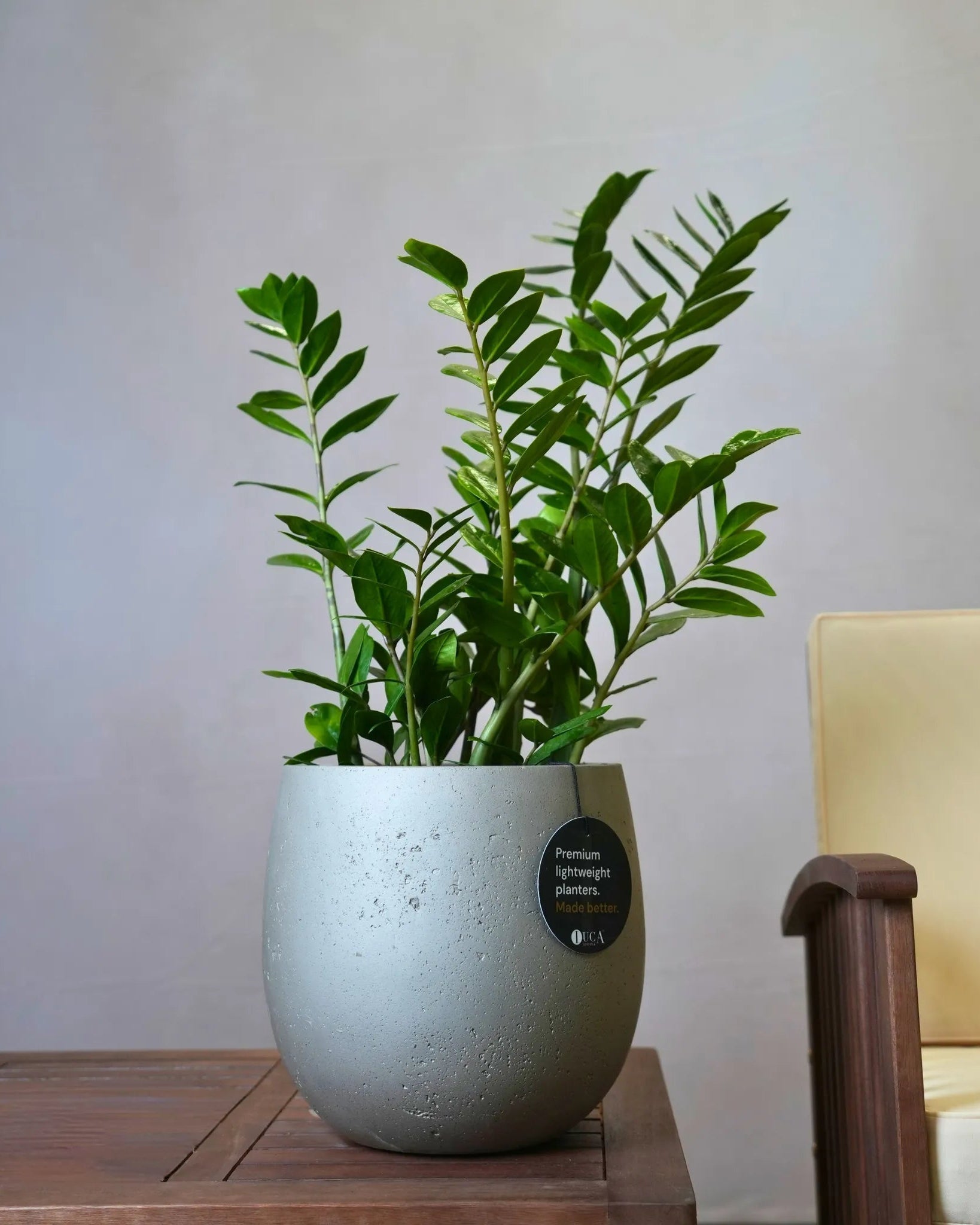 Grigio Balloon Pot | Spherical Planter - Acacia Garden Center