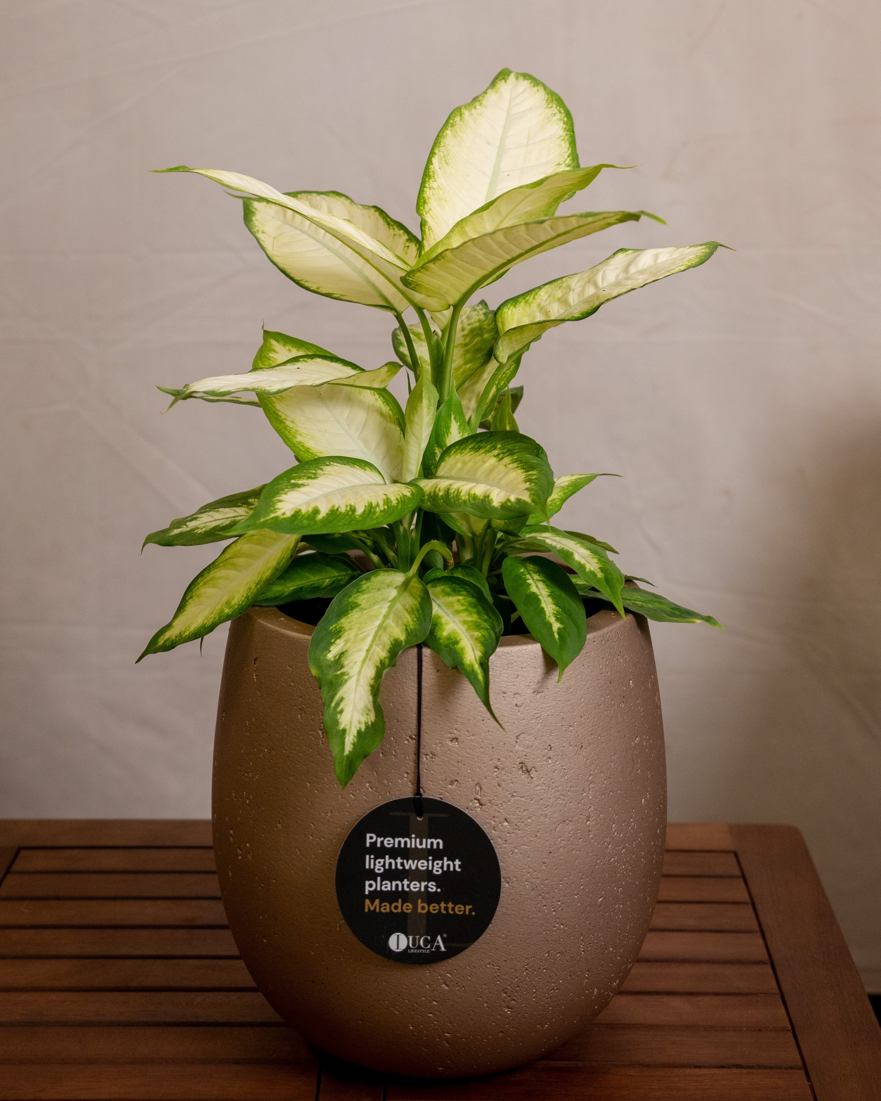 Grigio Balloon Pot | Spherical Planter - Acacia Garden Center