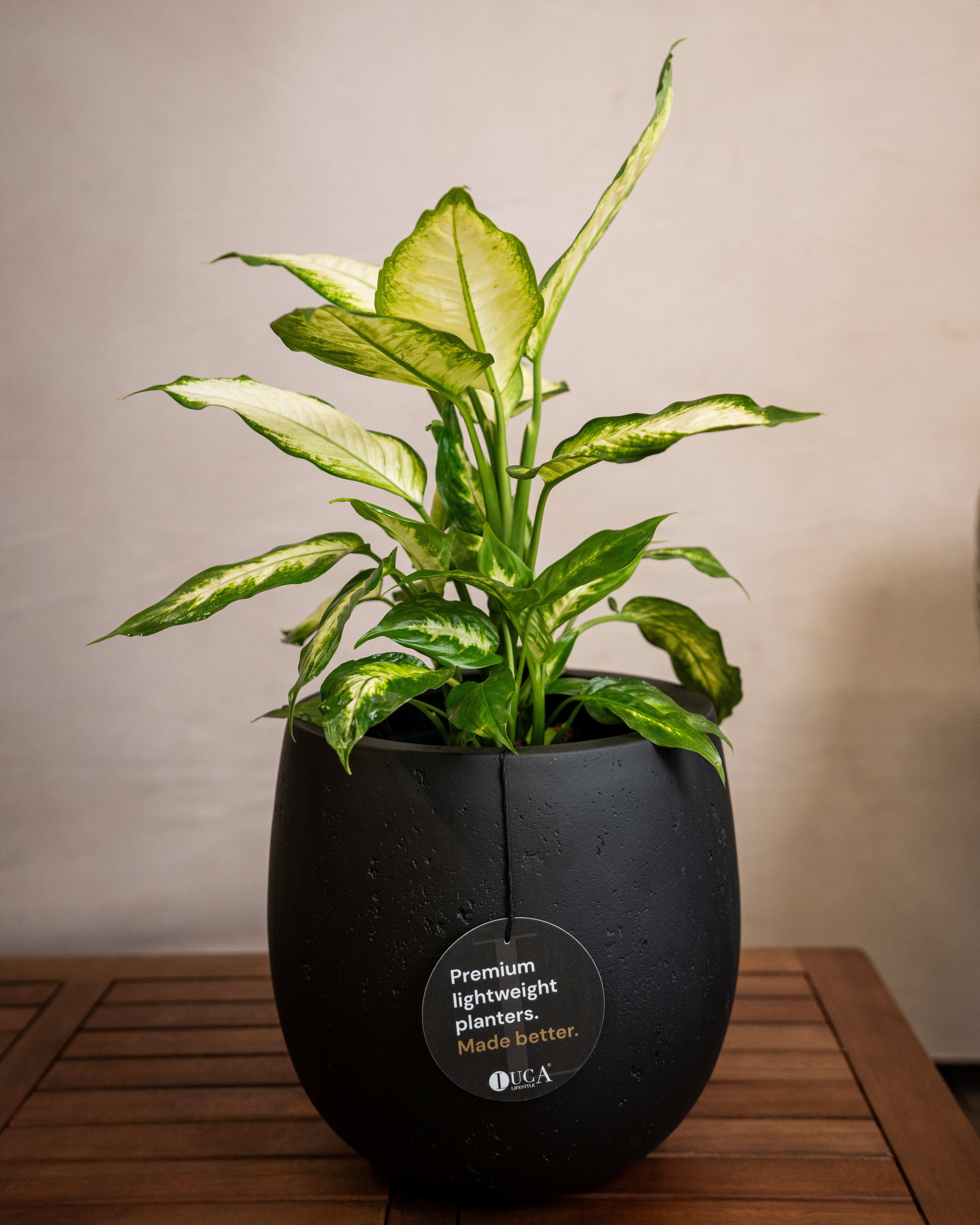 Grigio Balloon Pot | Spherical Planter - Acacia Garden Center