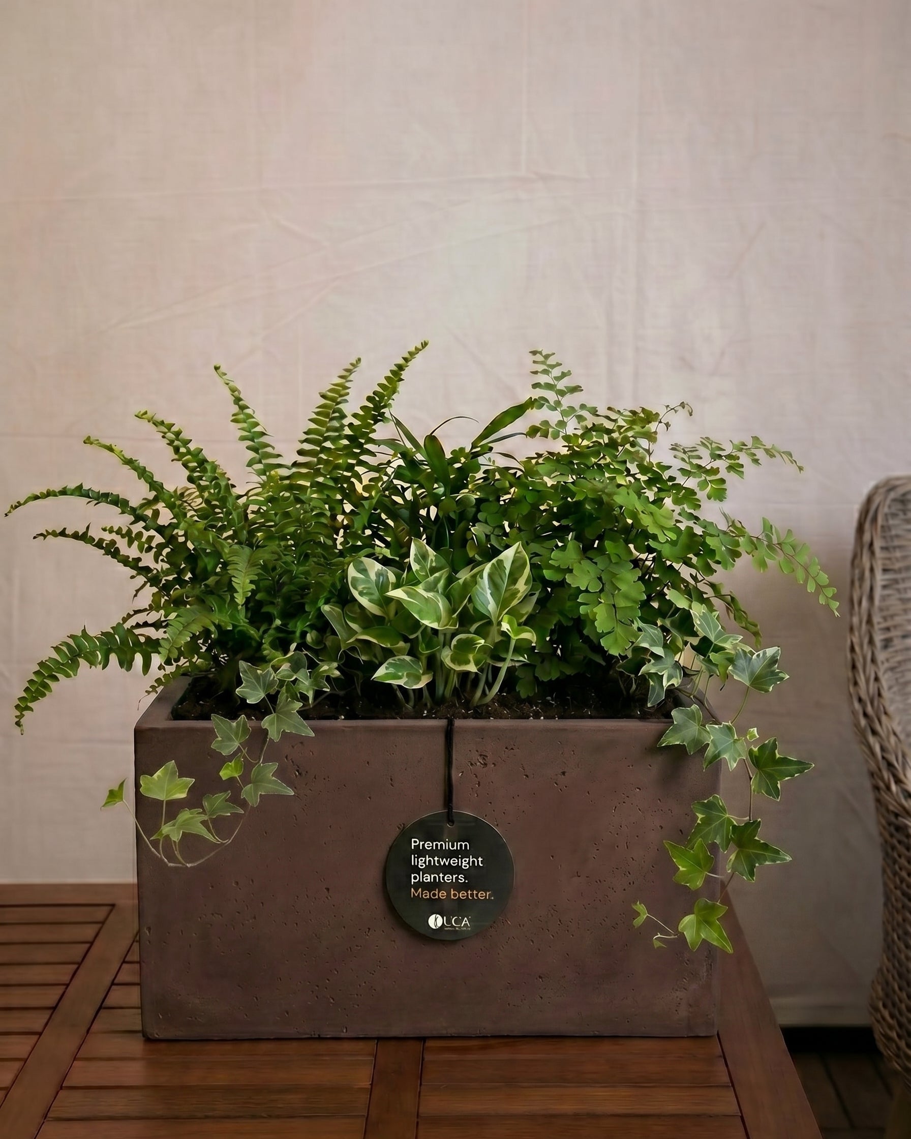 Grigio Box Planter | Rectangular Trough - Acacia Garden Center