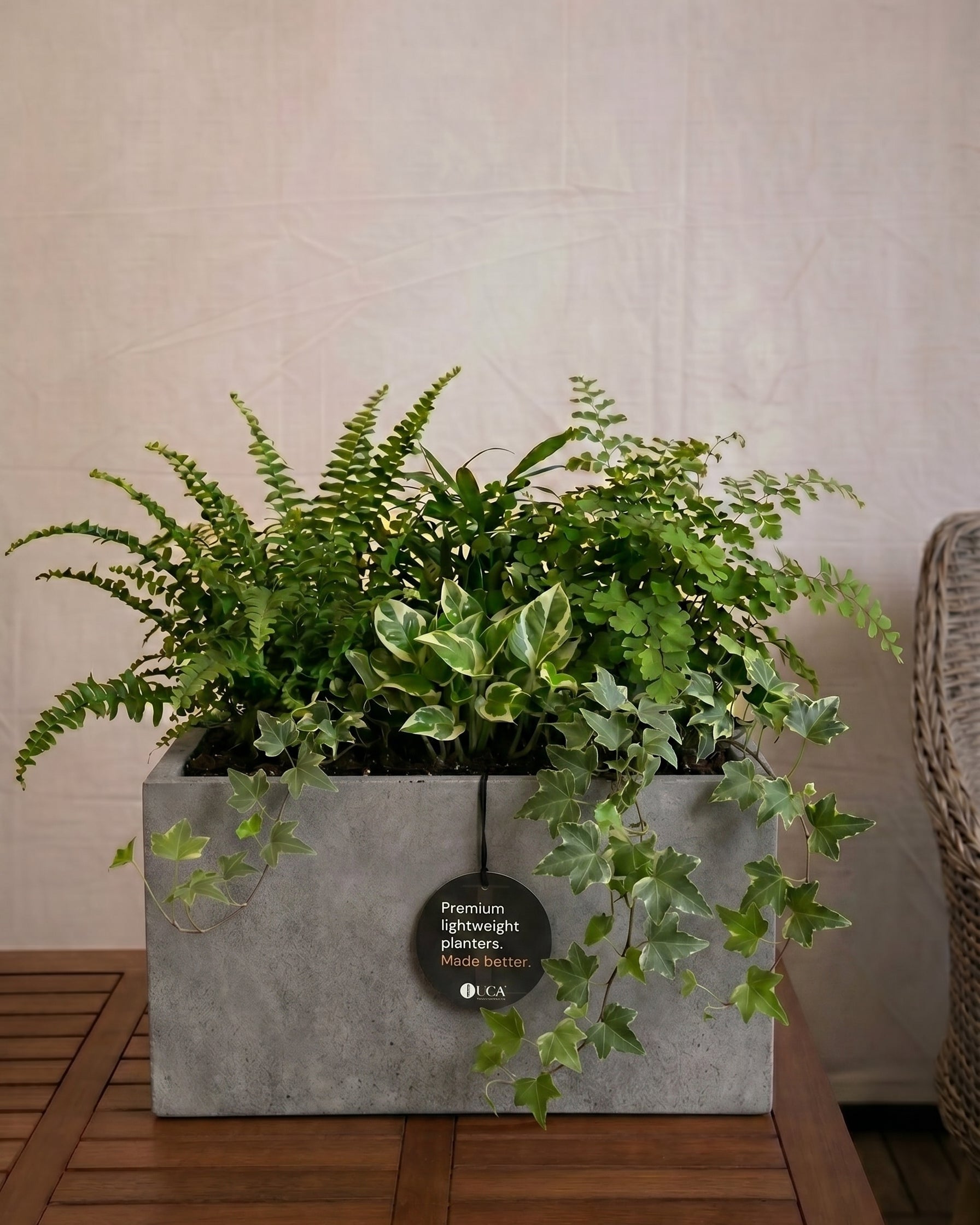 Grigio Box Planter | Rectangular Trough - Acacia Garden Center