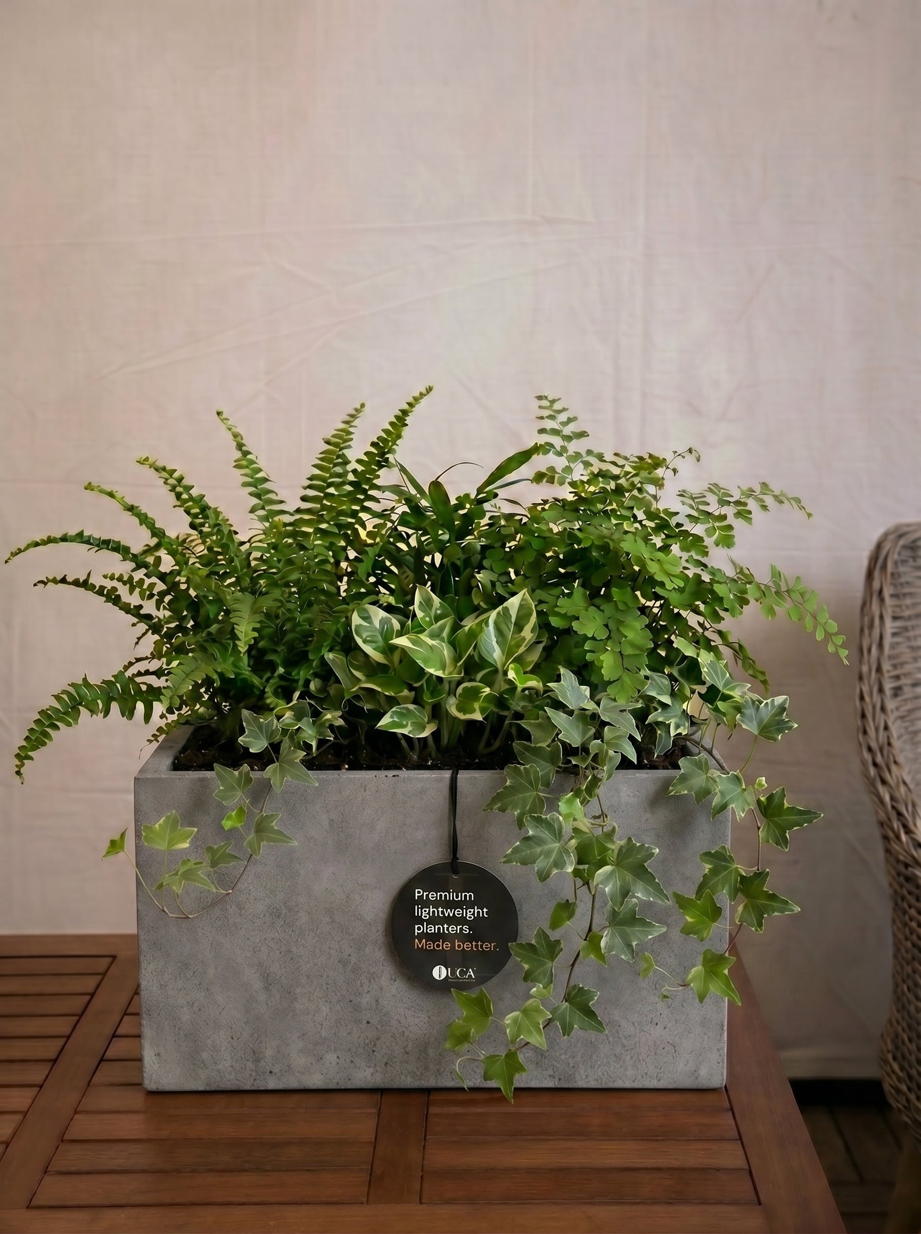 Grigio Box Planter | Rectangular Trough - Acacia Garden Center
