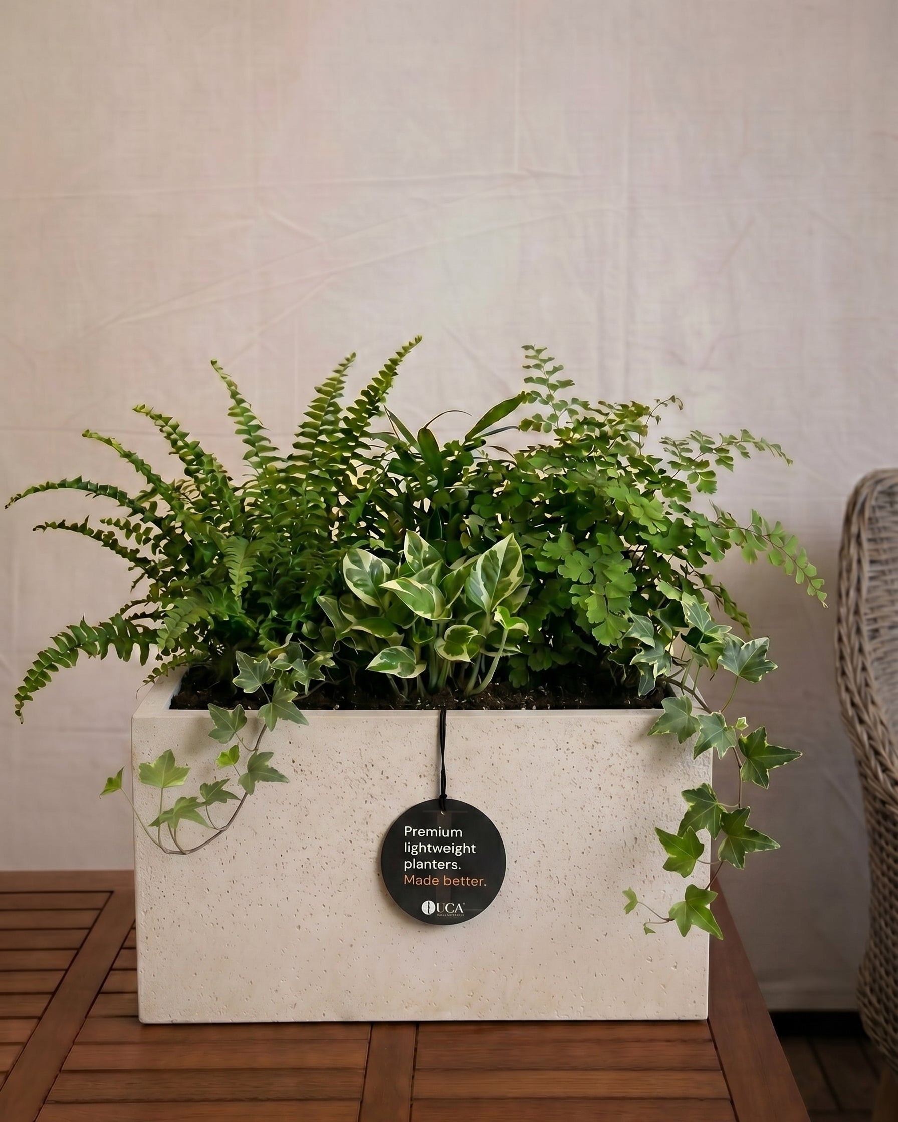 Grigio Box Planter | Rectangular Trough - Acacia Garden Center
