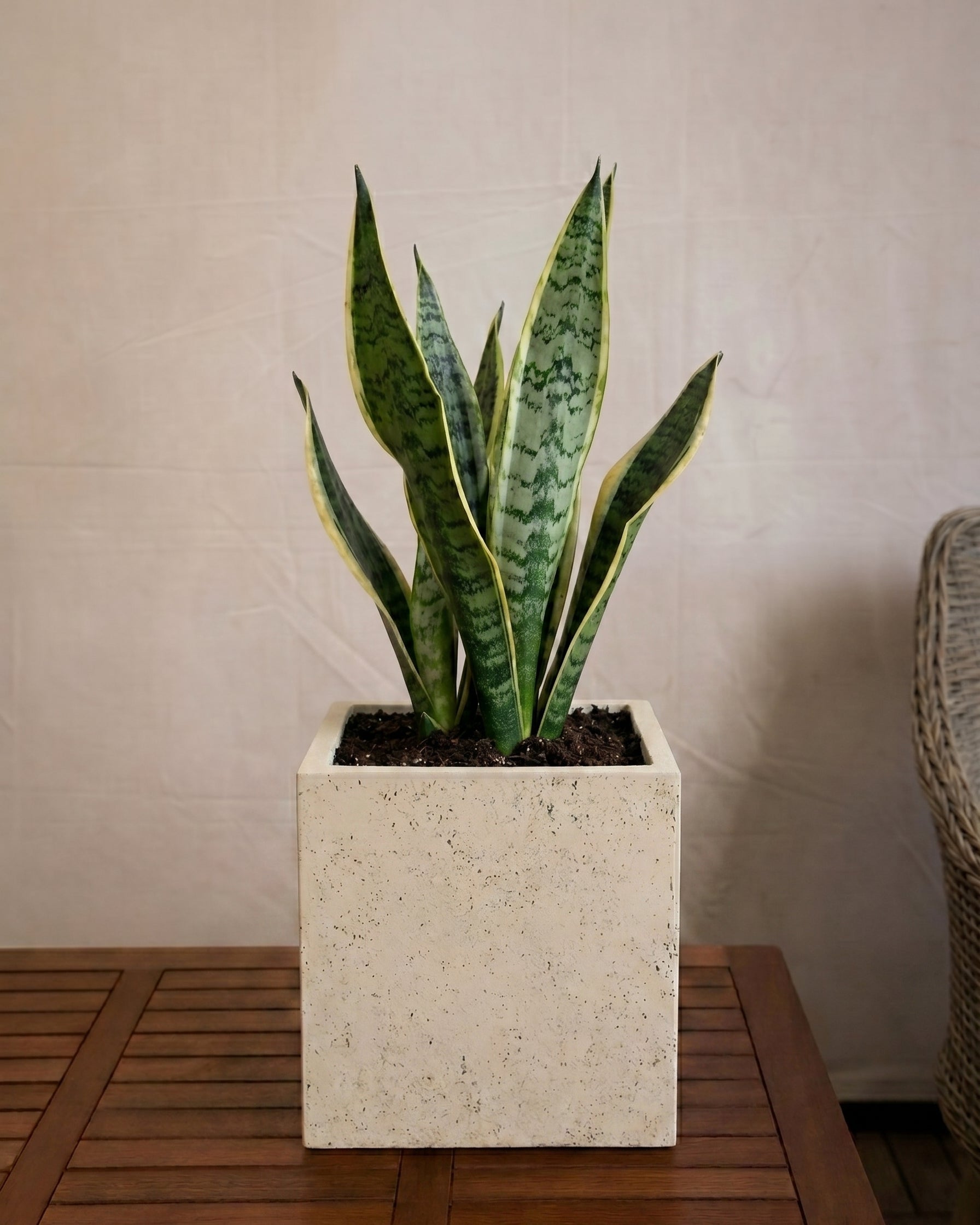 Grigio Cube Planter | Square Pot - Acacia Garden Center