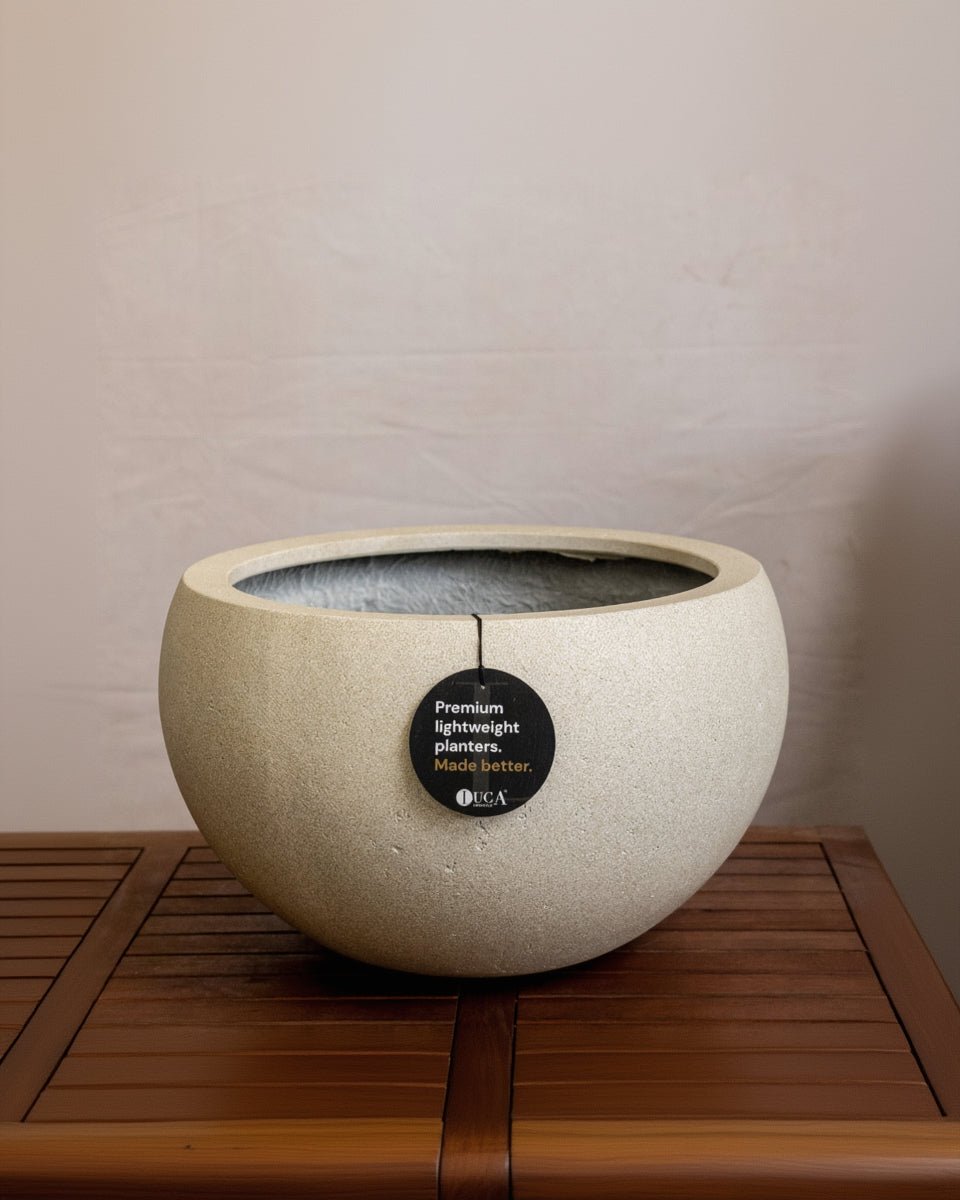Grigio Elena Pot | Wide Sculptural Planter - Acacia Garden Center