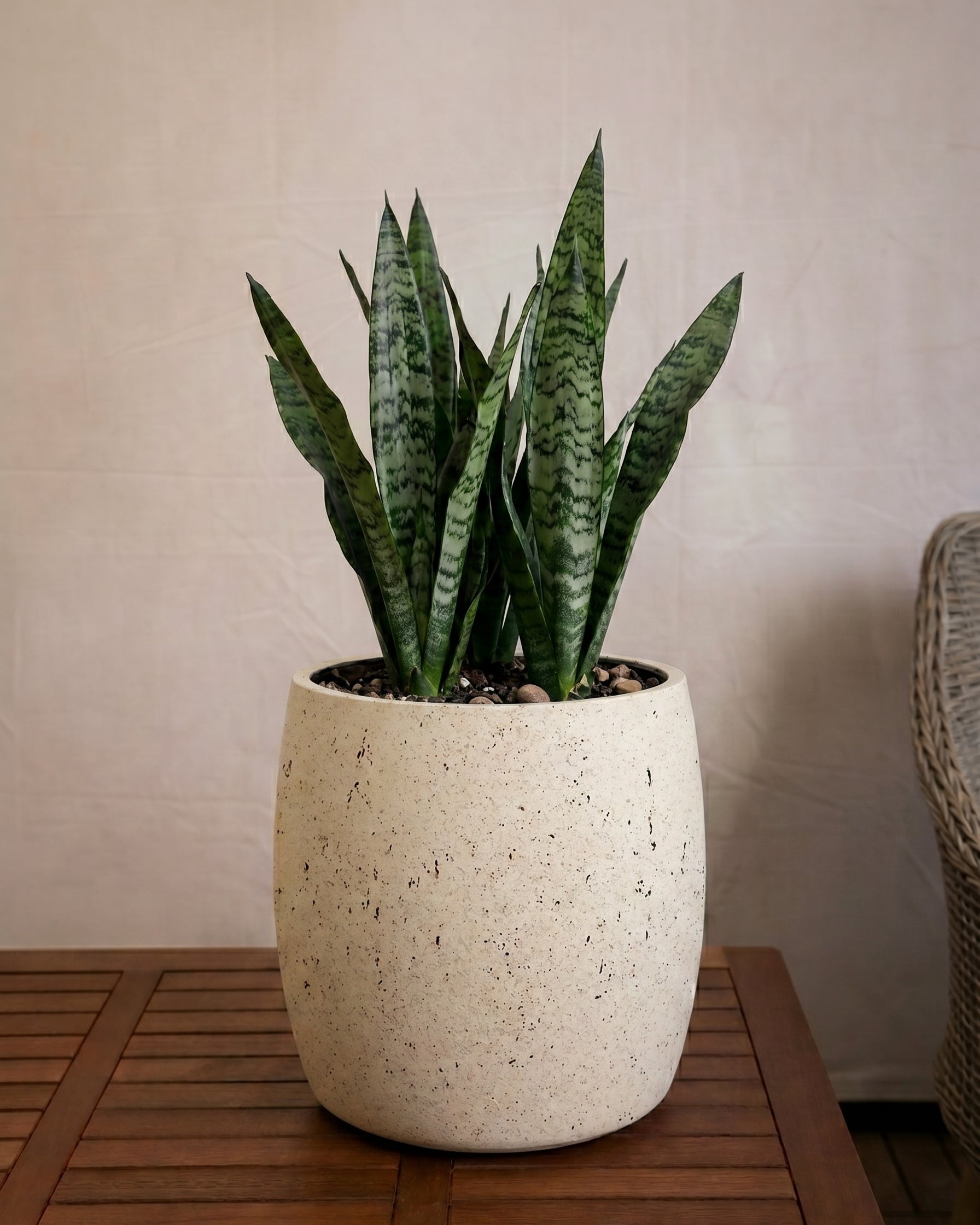 Grigio Modern Pot | Round Planter, Dia. 34–68 cm - Acacia Garden Center