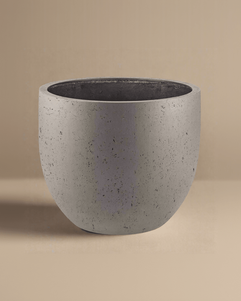 Grigio New Egg Pot | Classic Egg Planter - Acacia Garden Center