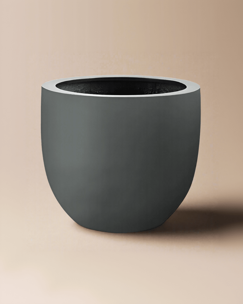 Grigio New Egg Pot | Classic Egg Planter - Acacia Garden Center
