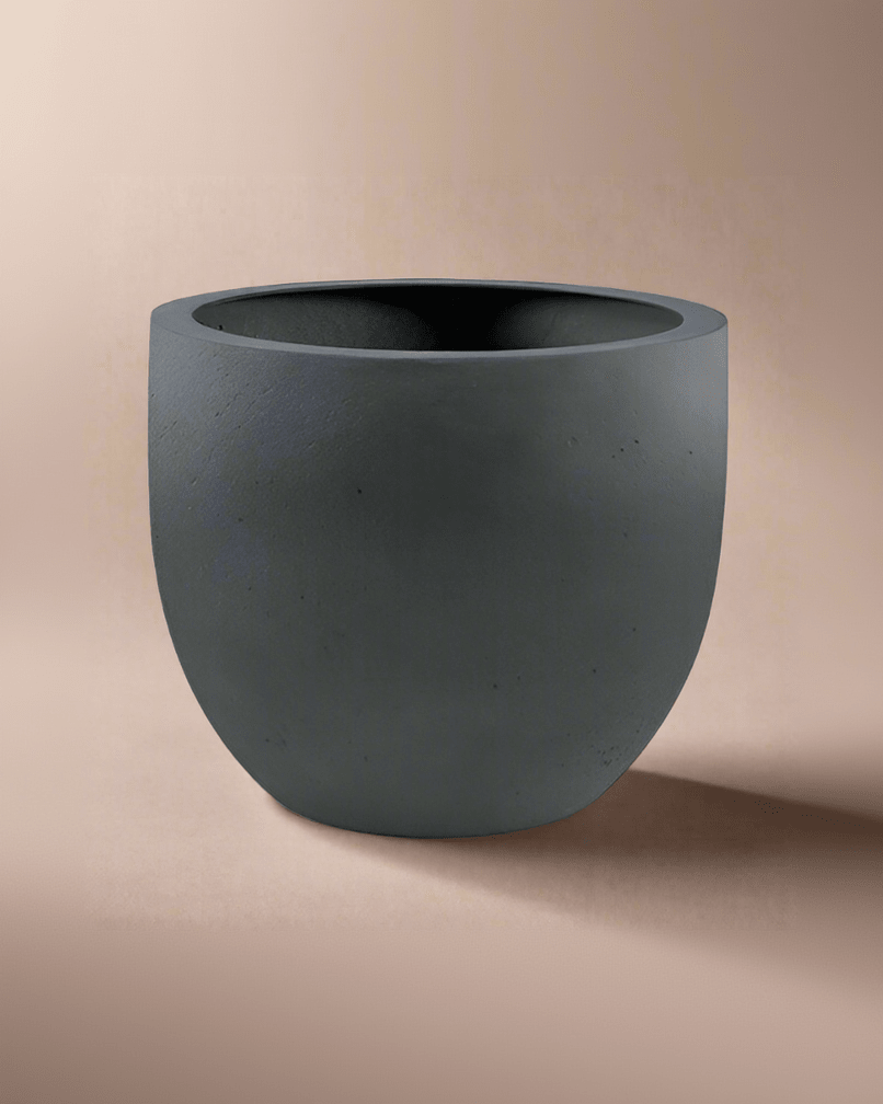 Grigio New Egg Pot | Classic Egg Planter - Acacia Garden Center