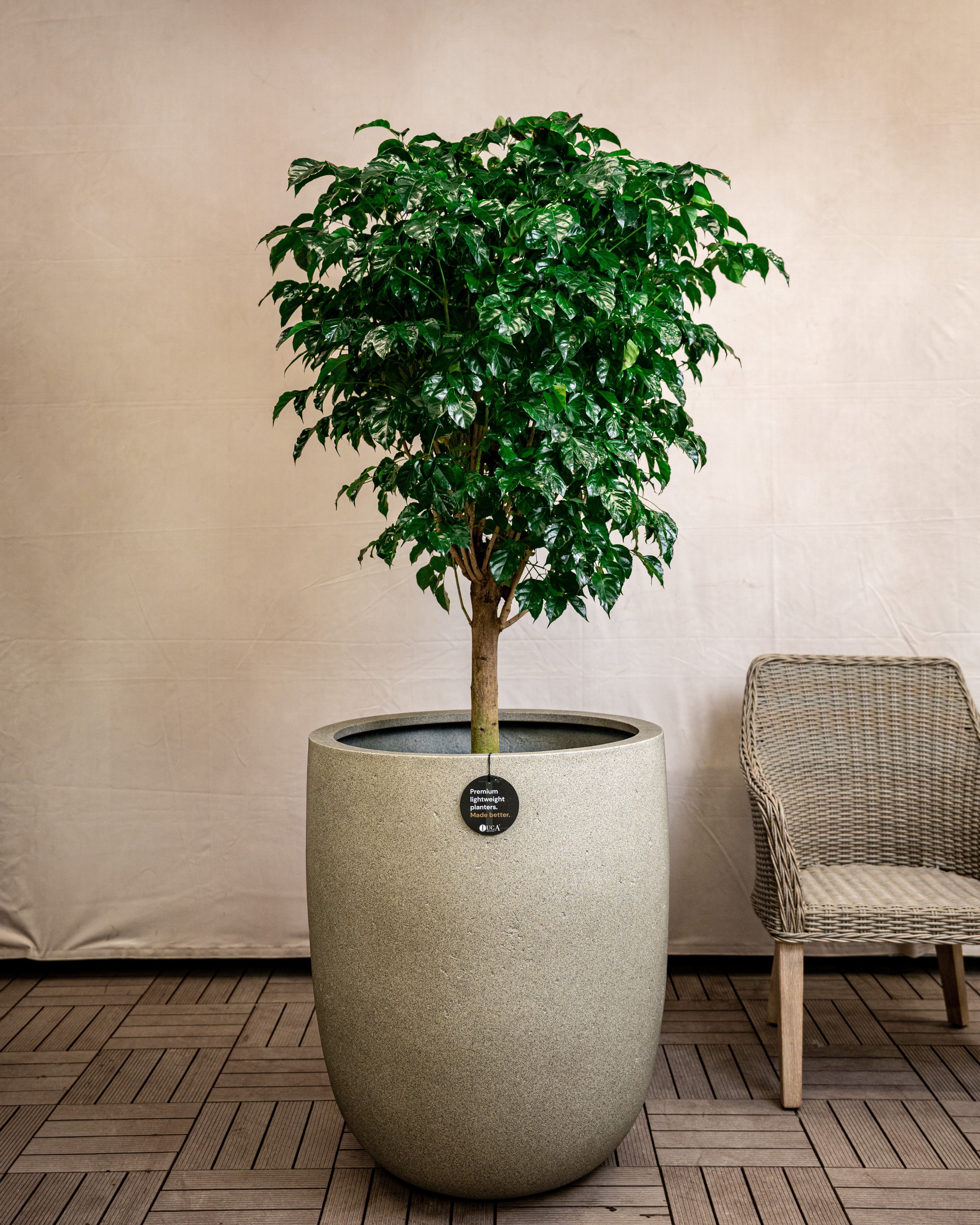 Grigio Tall Egg Pot | Premium Planter, Dia. 30–88 cm - Acacia Garden Center