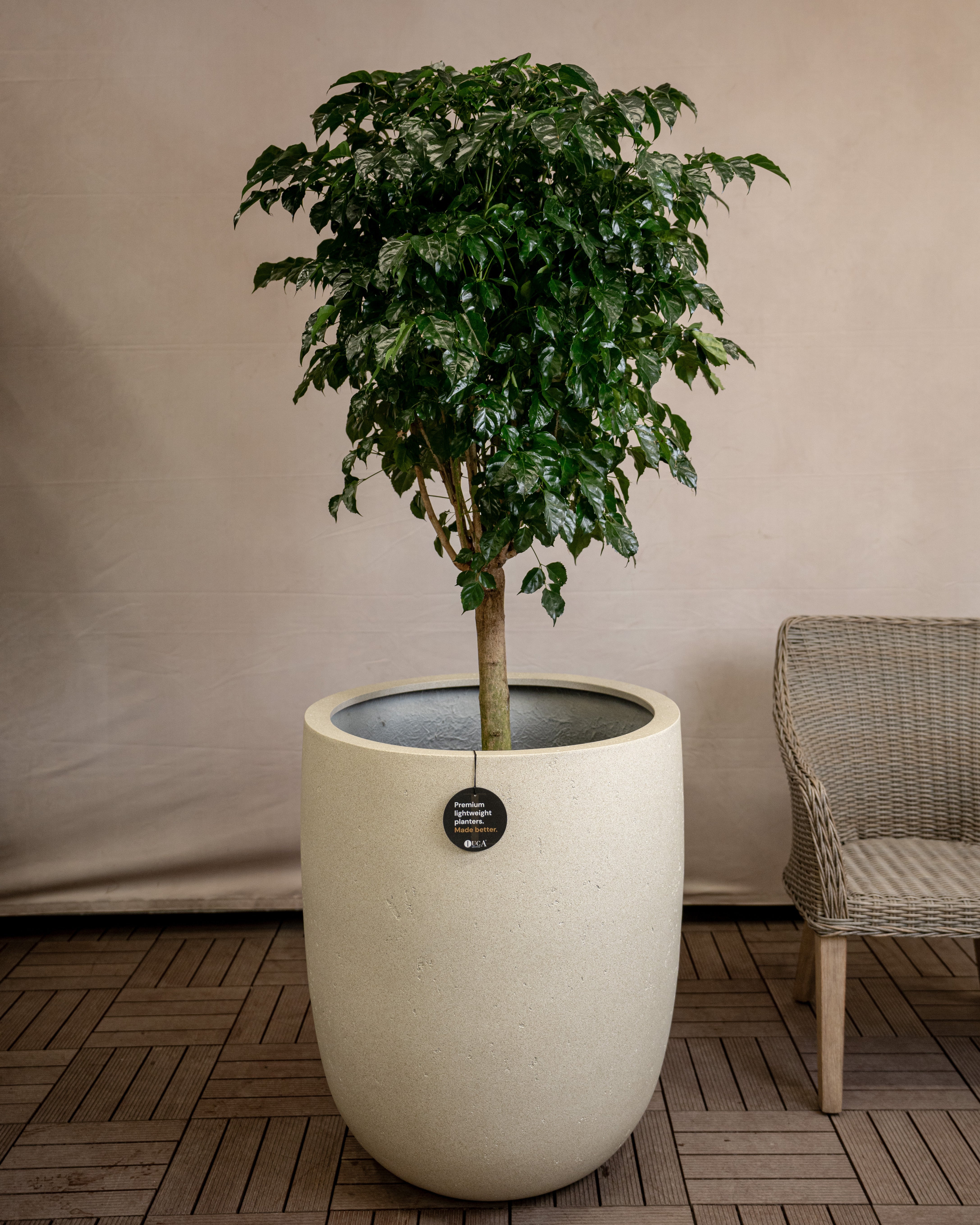 Grigio Tall Egg Pot | Premium Planter, Dia. 30–88 cm - Acacia Garden Center