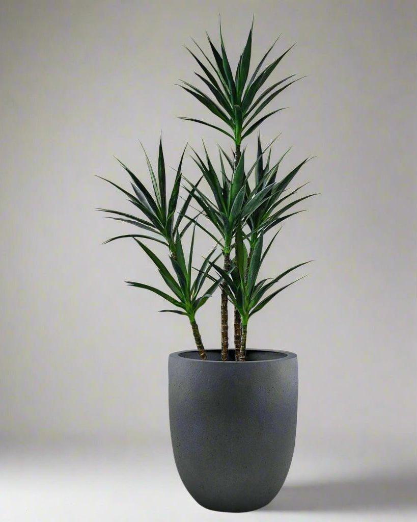 Grigio Tall Egg Pot | Premium Planter, Dia. 30–88 cm - Acacia Garden Center