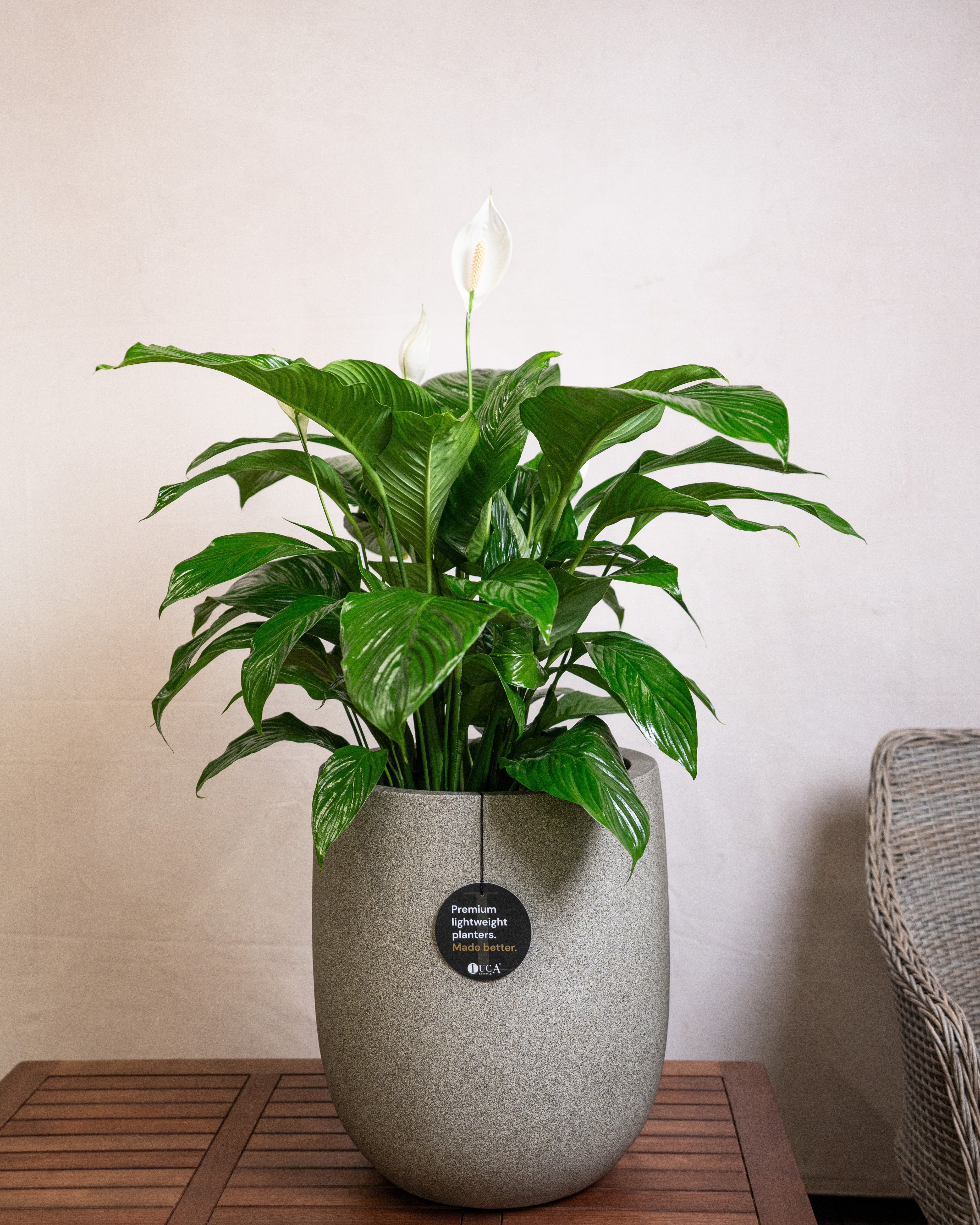 Grigio Tall Egg Pot | Premium Planter, Dia. 30–88 cm - Acacia Garden Center