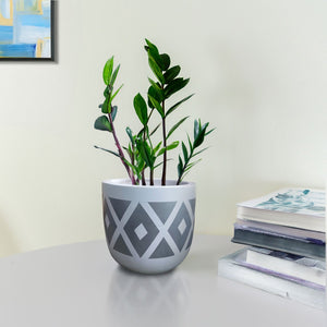 Hand Painted Pot - Ht0009 - Acacia Garden Center