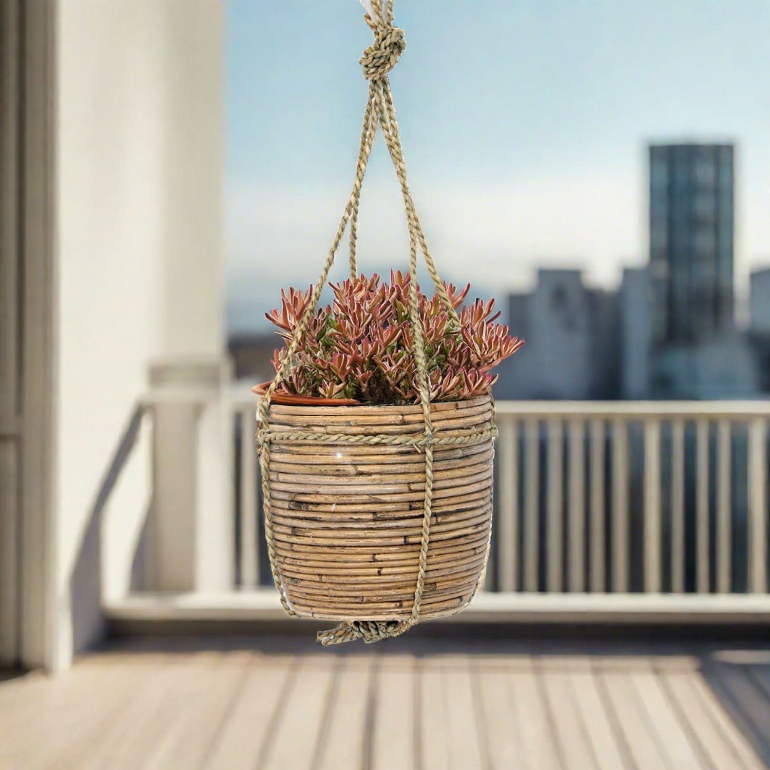 Hanging Pot Stripe (302269) | Grey, D20 × 19 cm - Acacia Garden Center