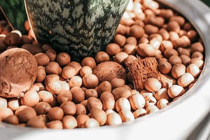 Hydrostone Single Hydroponic Substrate (Expanded Clay Pebbles) - 40 Ltrs (16.25 kg) - Acacia Garden Center