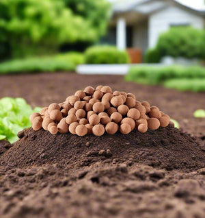 Hydrostone Single Hydroponic Substrate (Expanded Clay Pebbles) - 40 Ltrs (16.25 kg) - Acacia Garden Center