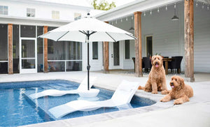 Ledge Lounger Signature Chaise - Acacia Garden Center