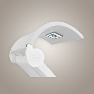 Ledge Lounger Signature Chaise Shade - Acacia Garden Center